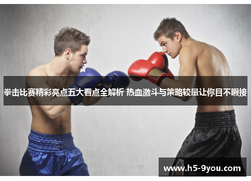 拳击比赛精彩亮点五大看点全解析 热血激斗与策略较量让你目不暇接